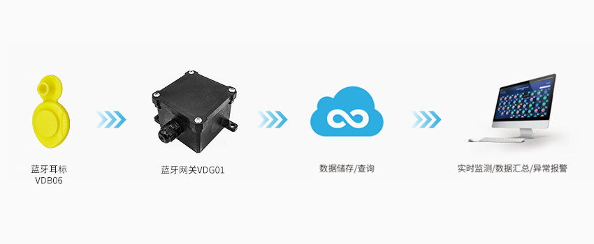 藍牙耳標用于豬牛羊定位.jpg 藍牙耳標用于豬牛羊定位.jpg